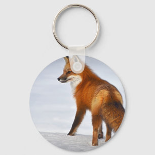 Chaveiro Raposa Vermelha na neve do inverno