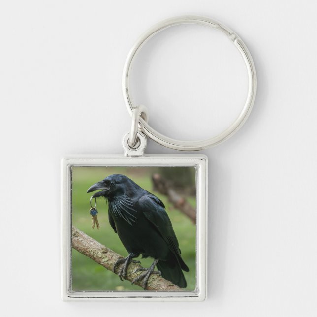 Chaveiro Raven em uma Ramificação com Chave (Frente)
