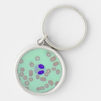 Chaveiro RBCs WBCs Slide Microscope Hematology Lab