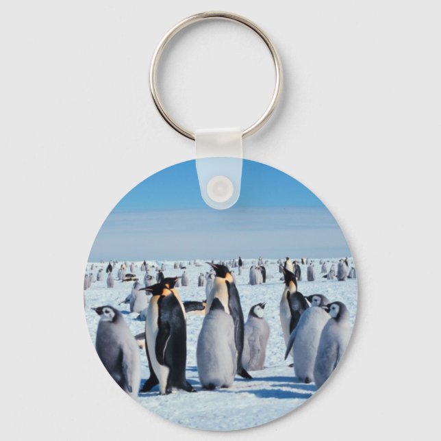 Chaveiro Recolha de pinguins (Frente)
