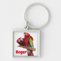 Red Macaw Papagaio Papagaio Chave de Arte de Aquar