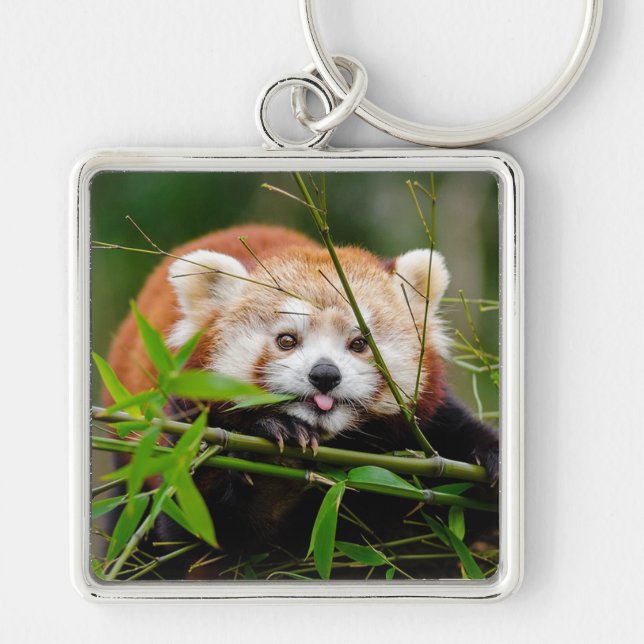 Chaveiro Red Panda (Frente)
