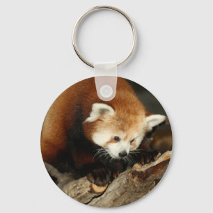 Chaveiro Red Panda