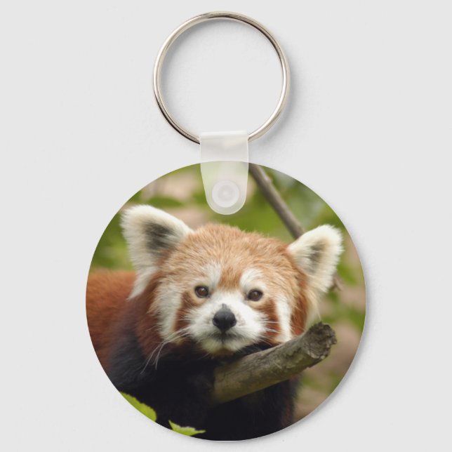 Chaveiro Red-panda-004 (Frente)