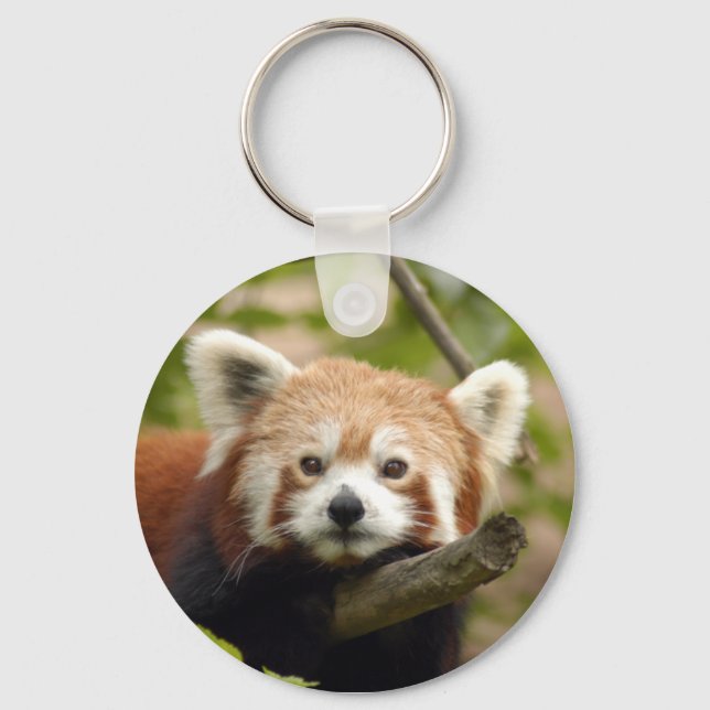 Chaveiro Red-panda-005 (Frente)