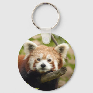 Chaveiro Red-panda-007