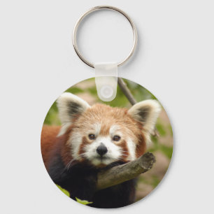 Chaveiro Red-panda-007