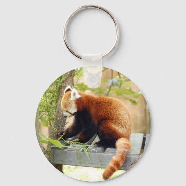 Chaveiro Red-panda-028 (Frente)