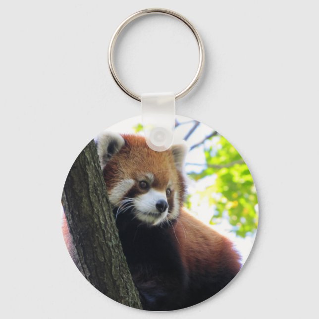 Chaveiro Red Panda Retrait (Frente)