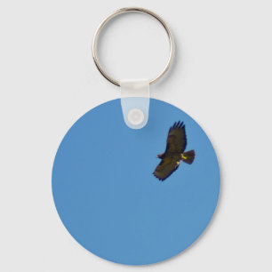 Chaveiro Red Tailed Hawk em Voo