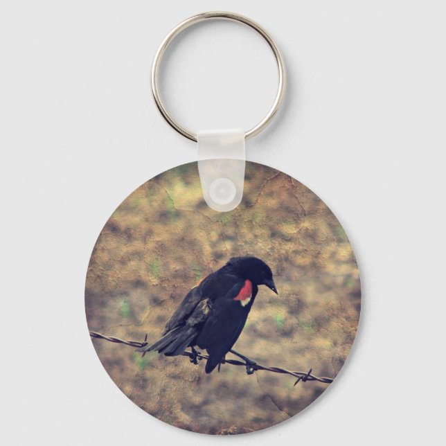 Chaveiro Red Wing Blackbird no arame farpado (Frente)