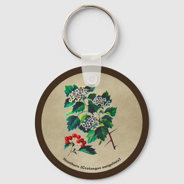 Chaveiro Redhaw Hawthorn Em Papel Antigo (Frente)