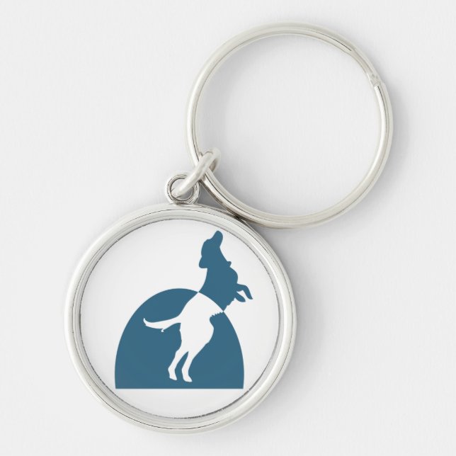 Chaveiro redondo de NMDR (Frente)