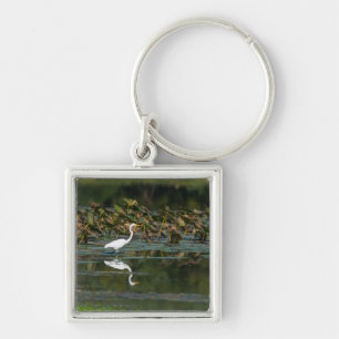 Chaveiro Reflexo de Egret Branco