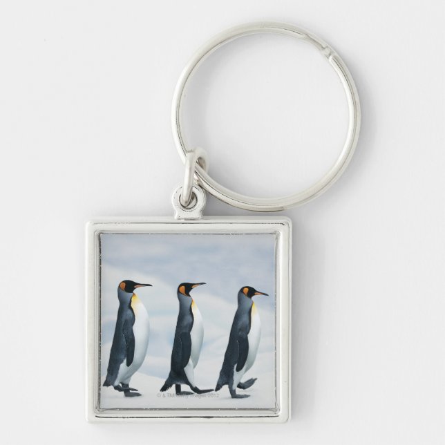 Chaveiro Rei pinguins (Frente)