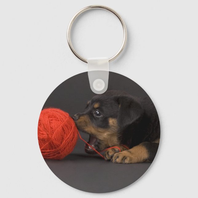 Chaveiro Reproduzindo Puppy 4 (Frente)