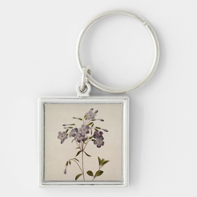 Chaveiro Reptans do Phlox (Frente)