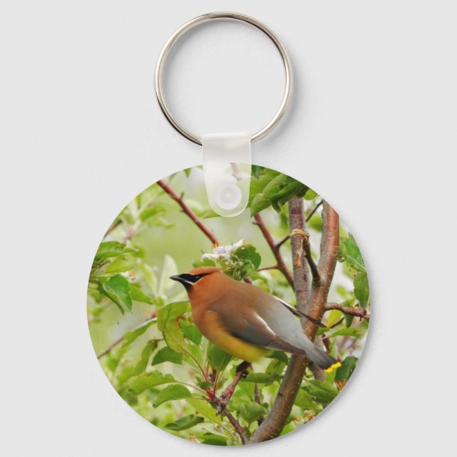 Chaveiro Resting Cedar Waxwing (Frente)