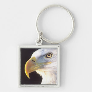 Chaveiro Retrato de Águia Americana, Haliaeetus leucocephal