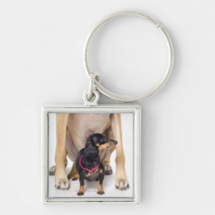 Chaveiro Retrato de great dane e do Dachshund