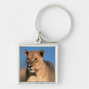 Chaveiro Retrato de Leoa (Panthera Leo)