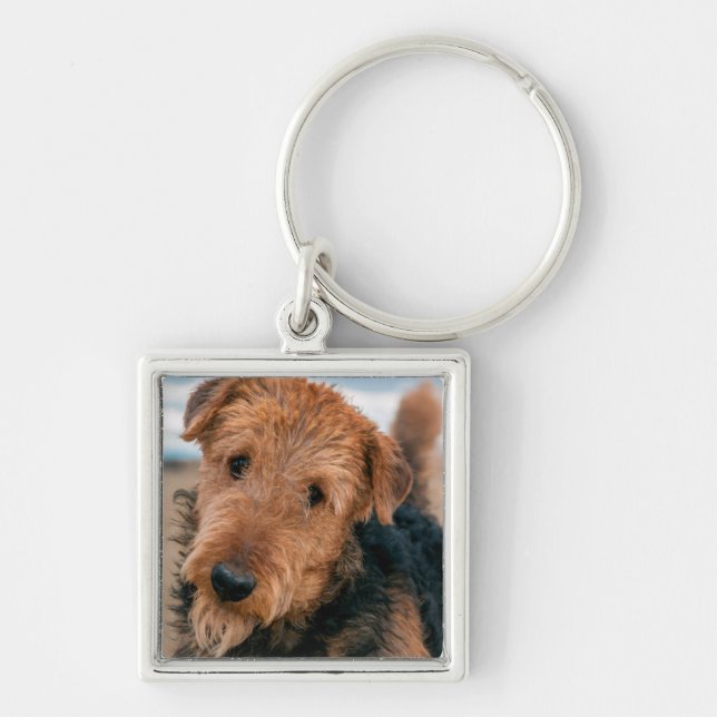 Chaveiro Retrato de um Airedale Terrier (Frente)