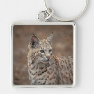 Chaveiro Retrato de um Bobcat
