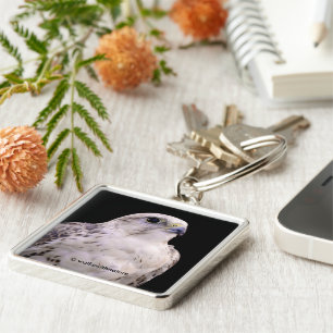 Chaveiro Retrato de um Falcão de Saker Inquisitivo