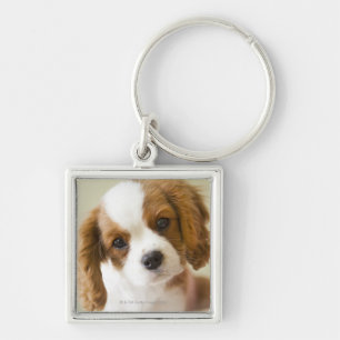 Chaveiro Retrato de um filhote de cachorro do Spaniel de
