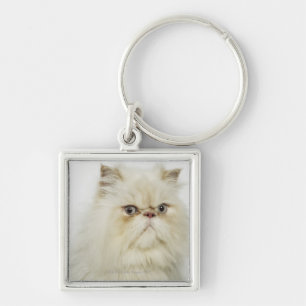 Chaveiro Retrato de um gato persa