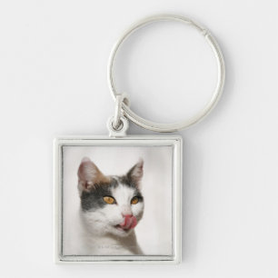 Chaveiro Retrato de uma lambedura branca do gato