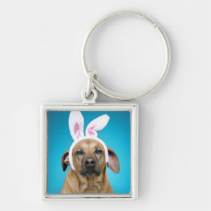 Chaveiro Retrato do cão que veste as orelhas do coelhinho