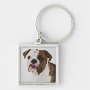 Chaveiro Retrato do filhote de cachorro bonito do buldogue