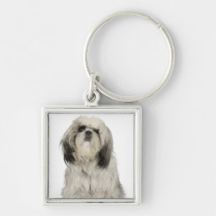 Chaveiro Retrato do filhote de cachorro do terrier tibetano