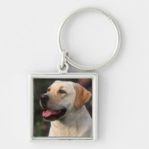 Chaveiro Retrato do Labrador Retriever, Hilton