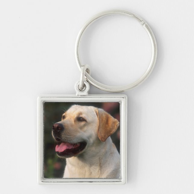 Chaveiro Retrato do Labrador Retriever, Hilton (Frente)