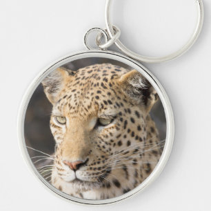 Chaveiro Retrato leopardo