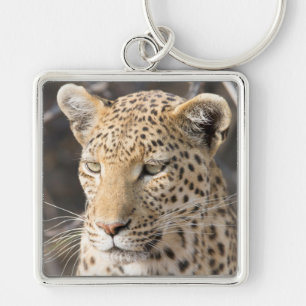 Chaveiro Retrato leopardo