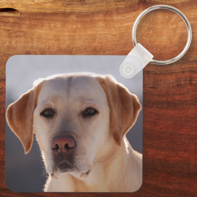 Chaveiro Retriever Labrador (Verso)