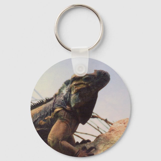 Chaveiro Rhinoceros Iguana (Frente)