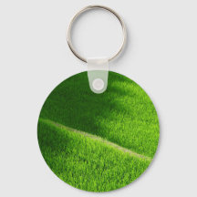 Rice Terraces Yamada's Rice Fields Japão