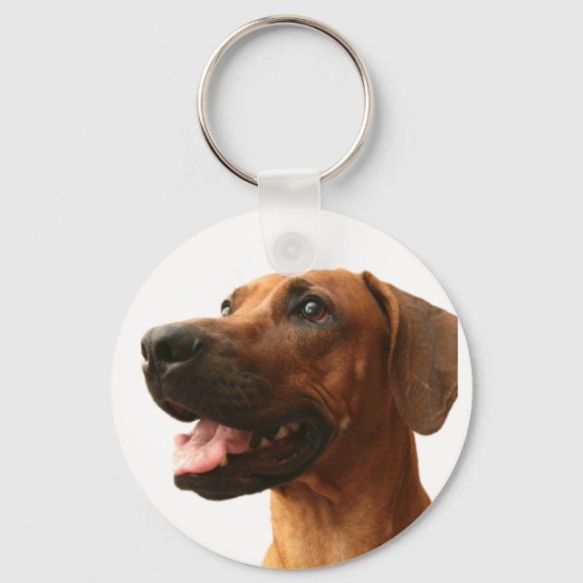 Chaveiro Ridgeback rodesiano (Frente)