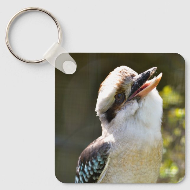 Chaveiro Rindo de Kookaburra empoleirado no Squ postal (Frente)