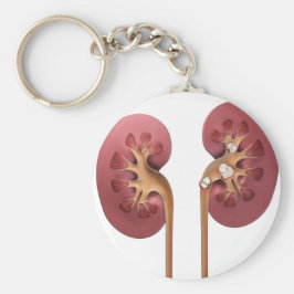 Chaveiro rins