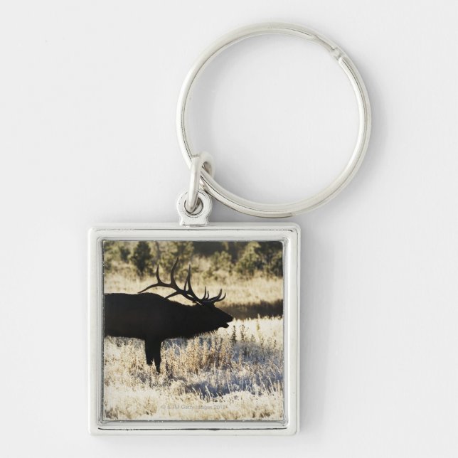 Chaveiro Rio de Madison, Yellowstone NP, Wyoming, EUA (Frente)