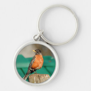 Chaveiro Robin