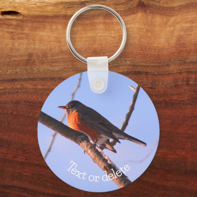 Chaveiro Robin In Snow Wildlife Nature Personalizado (Frente)