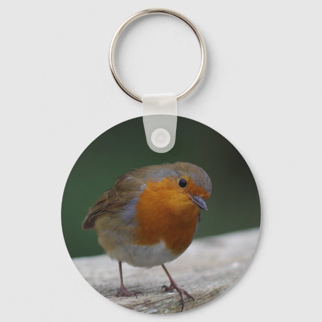 Chaveiro Robin Key Ring (Frente)