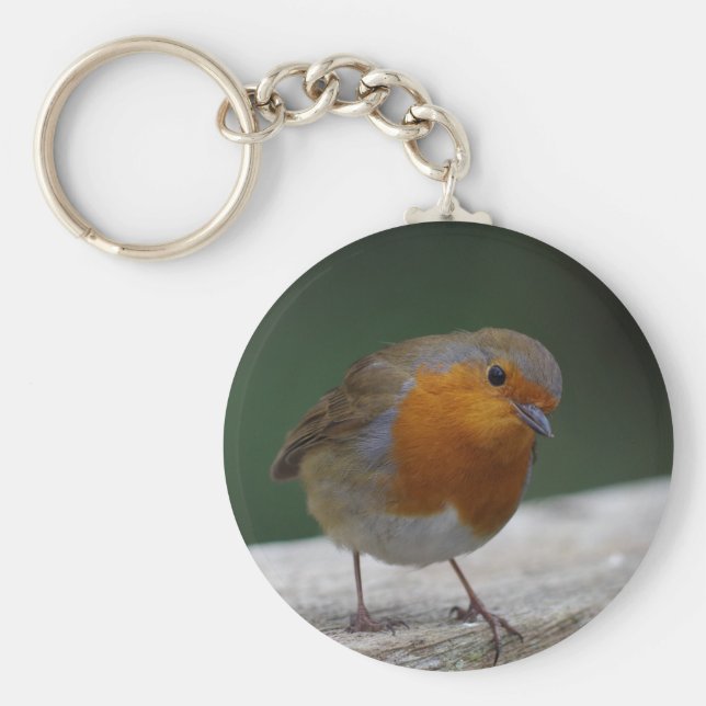 Chaveiro Robin Key Ring (Frente)