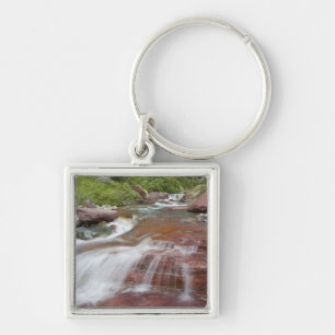 Chaveiro Rocha vermelha em Baring Creek no Glacier National